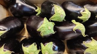 Melanzane tonde 1 kg