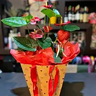 Biljka 5