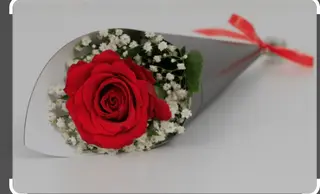 Rosa rossa singola