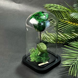 Cloche Éternelle – Vert Royal 20cm*10cm