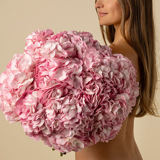 Ramo de 10 hortensias rosas