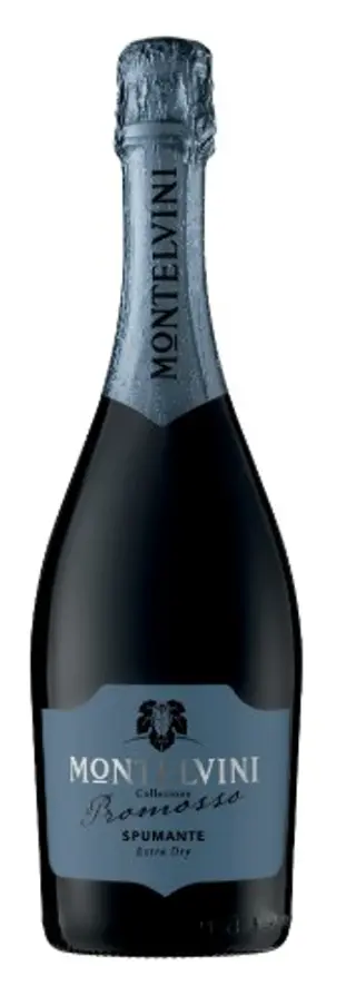 Montelyni Extra  Dry 75 cl