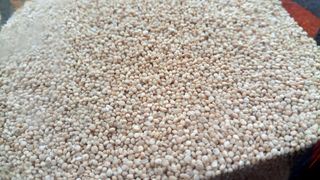 Quinoa Blanca ecológica (España) 