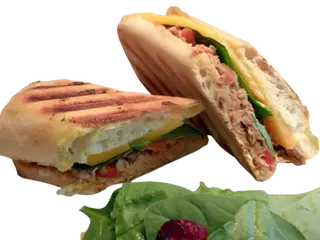 Panini Thon