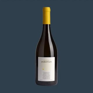 Luca Ricci CHARDONNAY IGT COLLI TREVIGIANI "UNATANTUM" / 2023