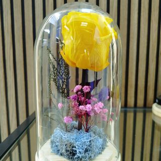 Cúpula de rosa eterna amarilla