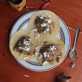 Taco de pollo con Mole