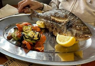 Ципура (450~500гр.)