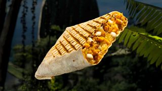 Dubai VTM Baby Gorilla Size