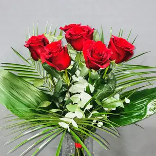 6 ROSAS ROJAS