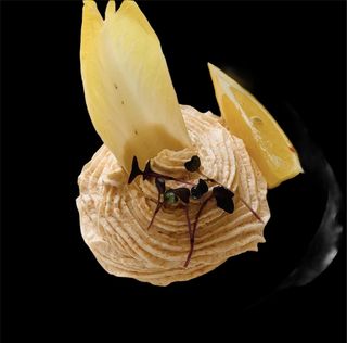 Salata de icre de crap