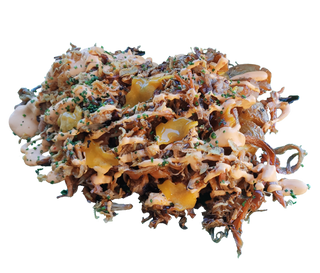 Pulled Pork Smoked Cheese Fries