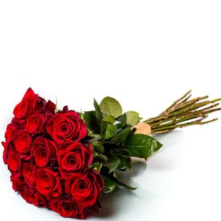 Buchet elegant cu 15 trandafiri rosii