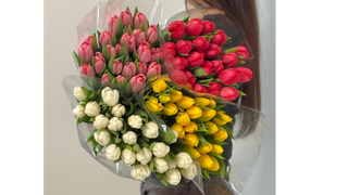 25 tulipanów w folii bez dekoracji