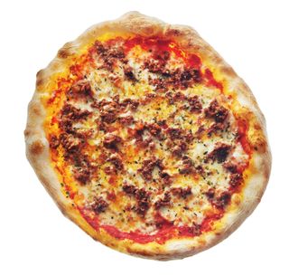 Bolognese