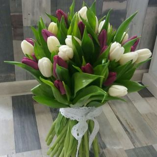 Buchet 43 Lalele alb cu mov