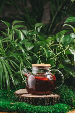 ЧАЙ СМОРОДИНА-ИМБИРЬ  (700 мл.)