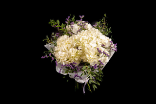 buchet hortensie alba