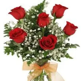 6 rose Rosse 