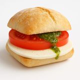 Pulguita Mediterránea