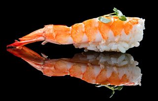 Nigiri De Gamba (2 Pzas.)