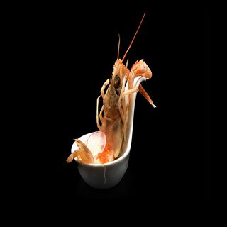 2 Passion scampi 2pezzi