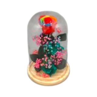 Rosa Rainbow Preservada em Campânula