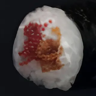 Maki Tobiko