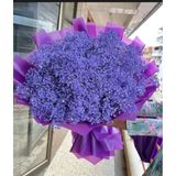 Purple luxurious breath