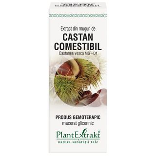 Extract din muguri de castan comestibil 50 ml (CASTANEA VESCA)