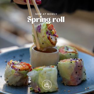 Spring Rolls Crevettes