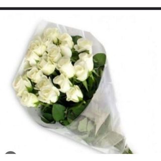White Roses