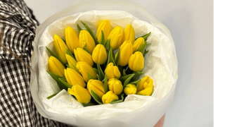Bukiet z 15 żółtych tulipanów