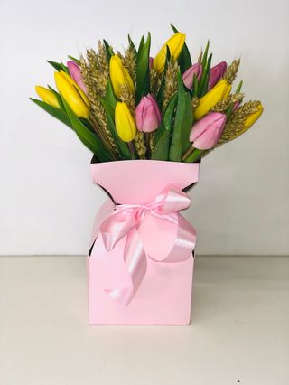 tulipani fiore singolo