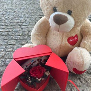 Peluche + Rosa