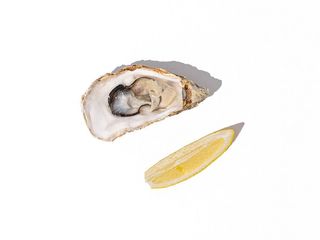 Fine de claire #3 (66-86г)