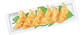 G5-Gyoza classico 6 pezzi