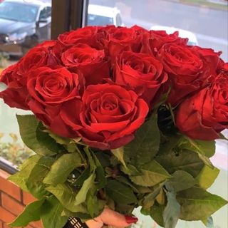 Roses Rouges Emballées