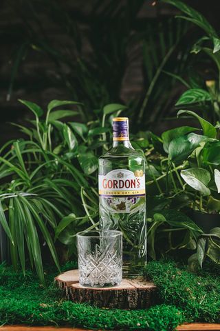 GORDONS   PINK  (50 мл.)