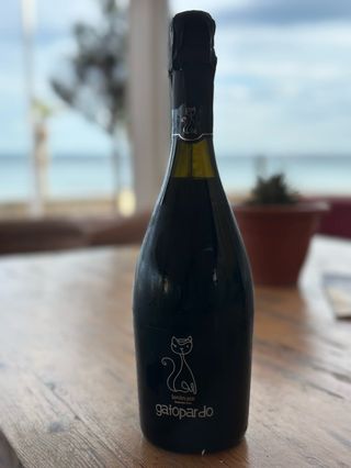 Lambrusco "Gattopardo" Tinto