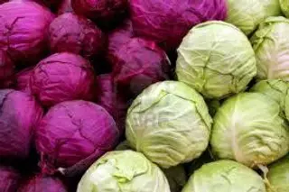 Crauti 