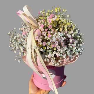 Pudełko z kolorową gipsówką