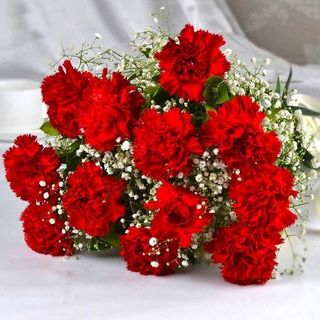 Red Carnations with Gypso Bouquets