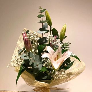 Un Lilium Rosa Con Paniculata
