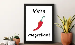 პოსტერი(very megrelian)
