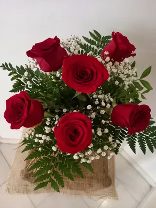 Miss 6 Roses