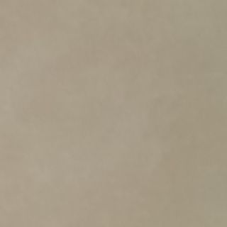 #45. Langostinos Con Curry