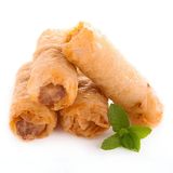 Nem à la Viande 10 Pièces