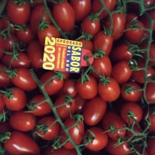 Tomate Lobello (Aprox. 500 Gr.)