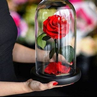 უკვდავი ვარდი